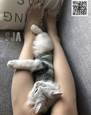 东京复仇者第三季天竺篇在线观看_高清完整版免费在线观看