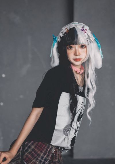 纪晓岚第一部40集免费下载_DVD手机免费观看完整