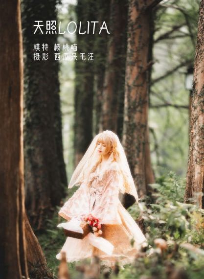 谁是爸爸全集免费观看_BD韩语全集在线观看