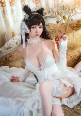 爱寻迷电影完整视频_HD超清在线观看